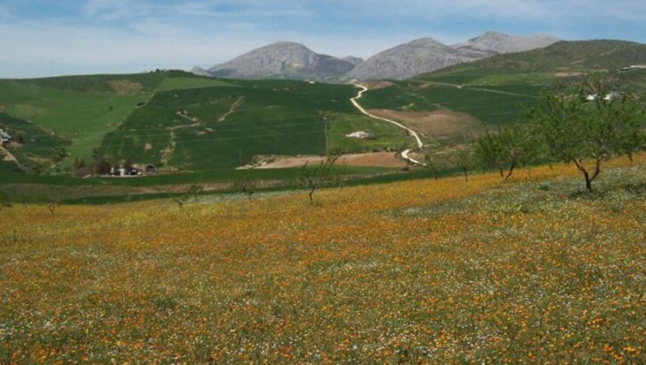 Finca/Country House for sale in Valle de Abdalajis with garage - € 169,000 (Ref: 9444870)