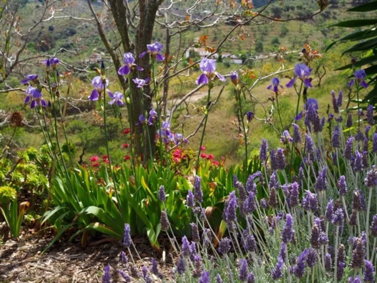 2 sypialnia Finka/Dom wiejski na sprzedaż w Alora z garażem - 295 000 € (Ref: 9495521)