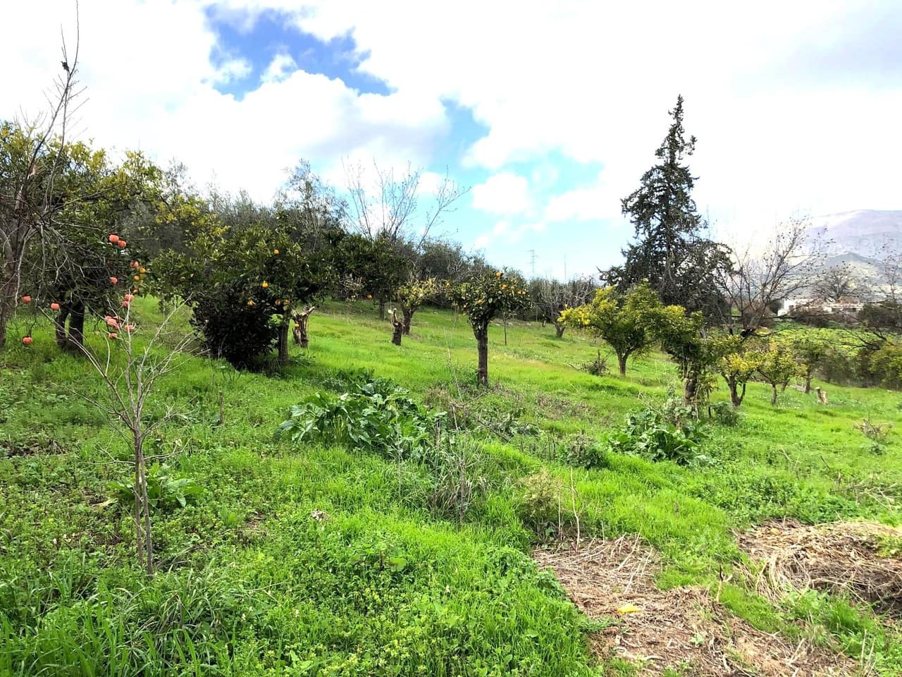 Chalet de 3 habitaciones en Alora en venta con piscina garaje - 375.000 € (Ref: 9588097)