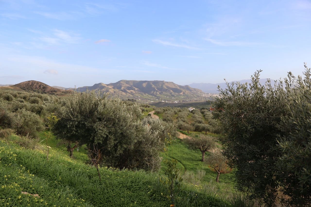 3 makuuhuone Maalaistalo myytävänä paikassa Alora mukana uima-altaan 
autotalli - 355 000 € (Ref: 9614305)