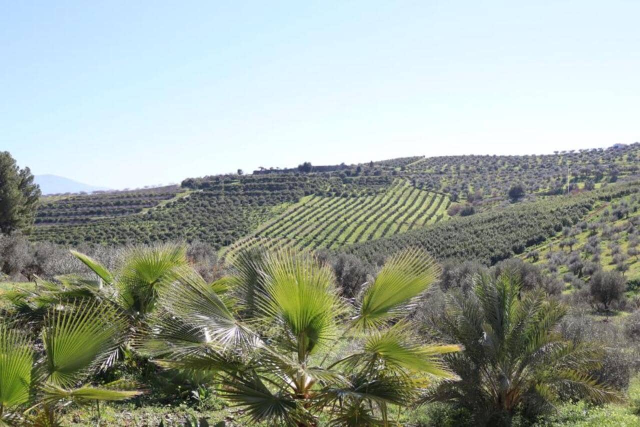 2 sovrum Finca/Hus på landet till salu i Alora med garage - 255 000 € (Ref: 9697809)