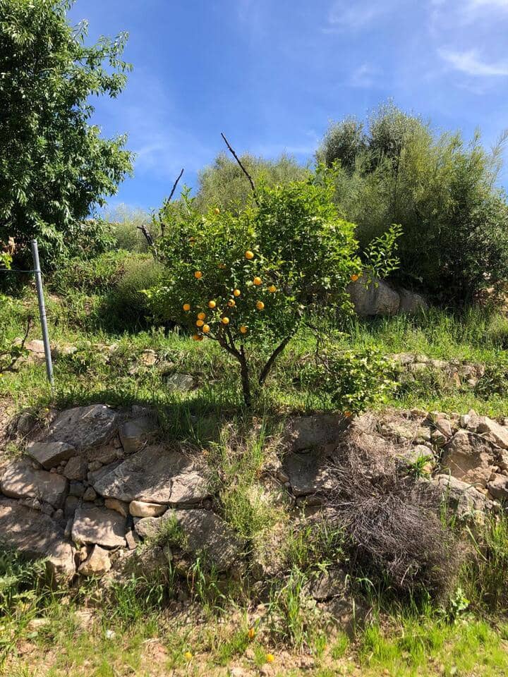 4 slaapkamer Finca/Landhuis te koop in Valle de Abdalajis - € 368.000 (Ref: 9889247)