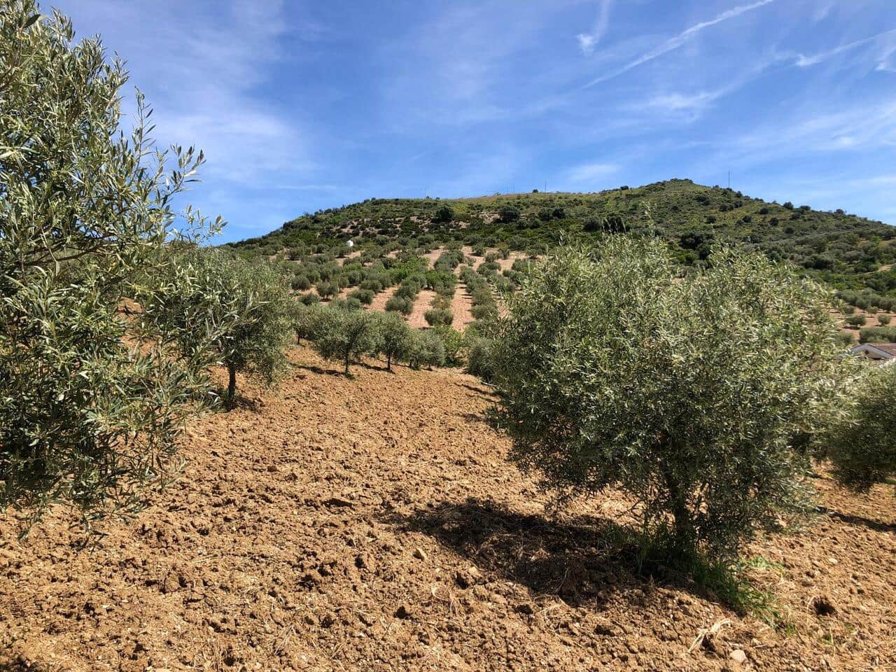 4 slaapkamer Finca/Landhuis te koop in Valle de Abdalajis - € 368.000 (Ref: 9889247)