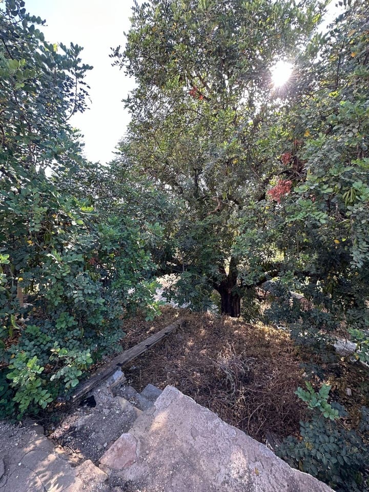 3 Zimmer Finca/Landgut zu verkaufen in Alora mit Garage - 240.000 € (Ref: 9977863)