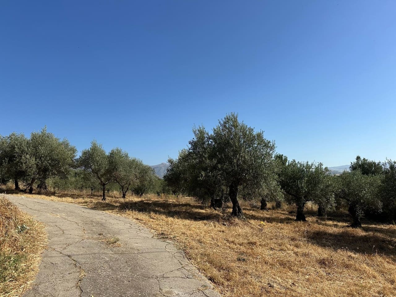3 Zimmer Finca/Landgut zu verkaufen in Alora mit Garage - 240.000 € (Ref: 9977863)