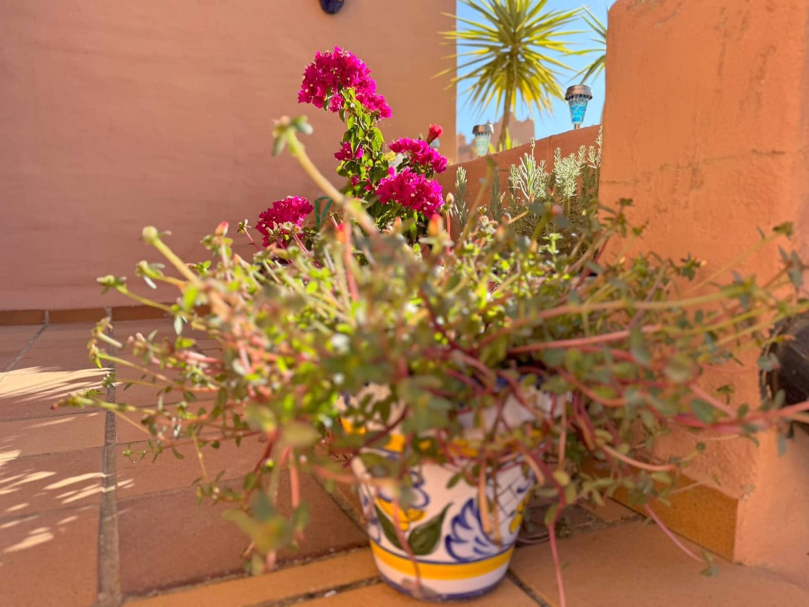 2 bedroom Apartment for sale in La Duquesa / Puerto de la Duquesa with pool garage - € 310,000 (Ref: 9237780)