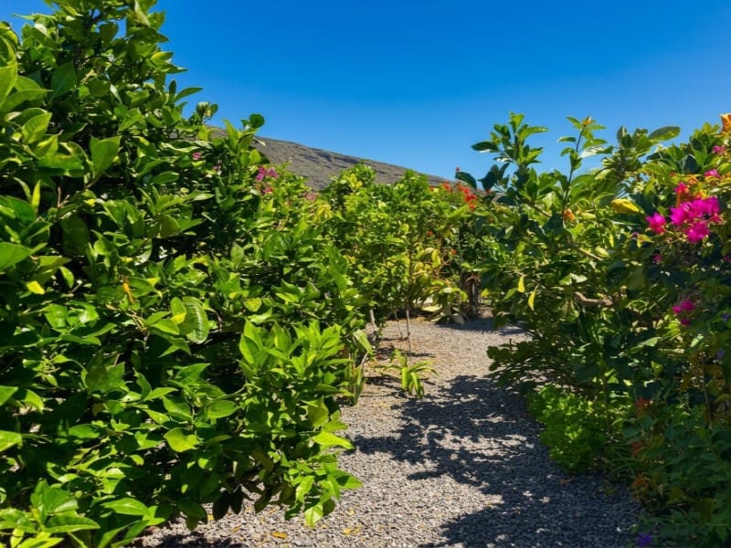 3 bedroom Finca/Country House for sale in Araya with pool - € 580,000 (Ref: 10133176)