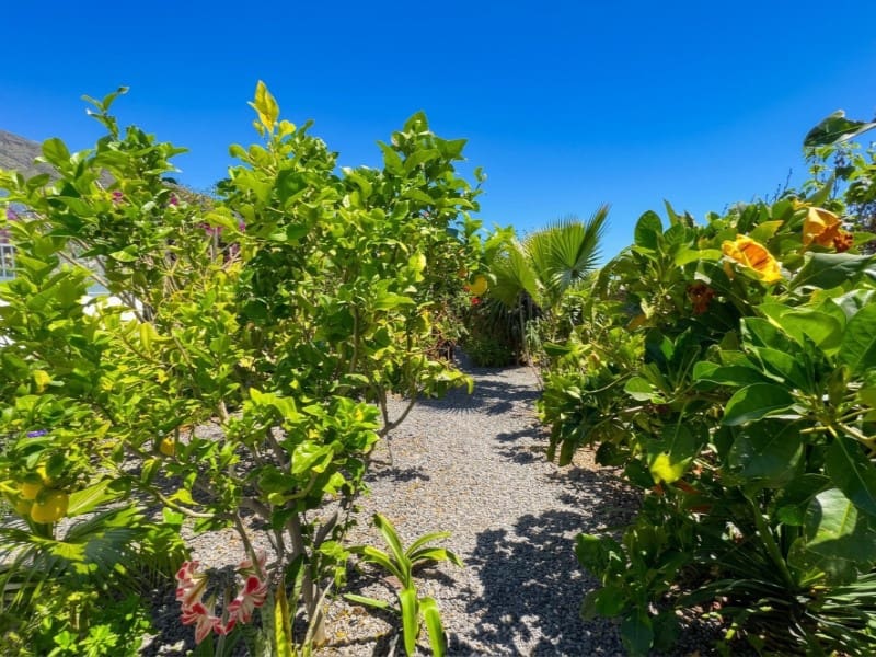 3 bedroom Finca/Country House for sale in Araya with pool - € 580,000 (Ref: 10133176)