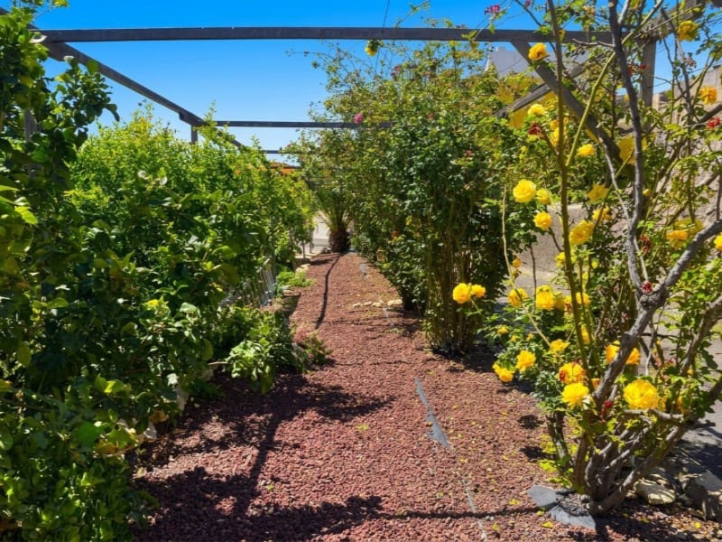 3 bedroom Finca/Country House for sale in Araya with pool - € 580,000 (Ref: 10133176)