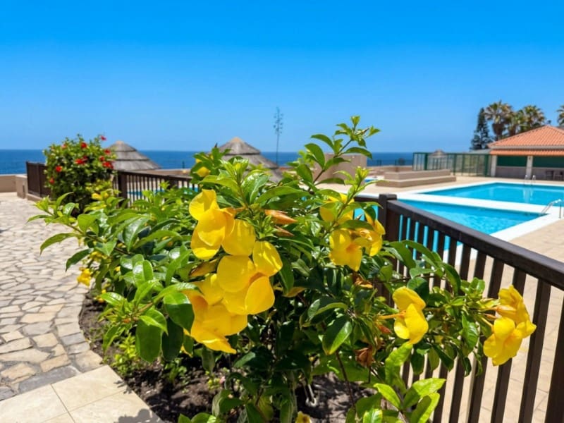2 bedroom Apartment for sale in Costa del Silencio with pool - € 269,500 (Ref: 10151097)