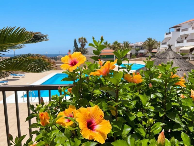 2 bedroom Apartment for sale in Costa del Silencio with pool - € 269,500 (Ref: 10151097)