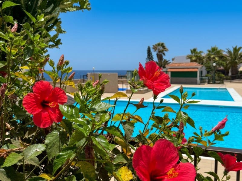 2 bedroom Apartment for sale in Costa del Silencio with pool - € 269,500 (Ref: 10151097)