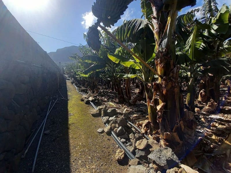 2 soveværelse Villa til salg i Los Silos - € 649.000 (Ref: 7065768)