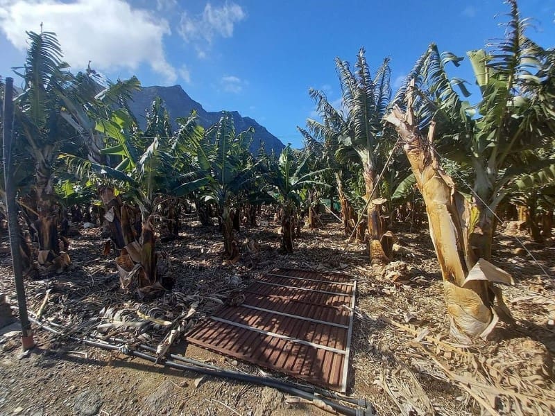 2 soveværelse Villa til salg i Los Silos - € 649.000 (Ref: 7065768)