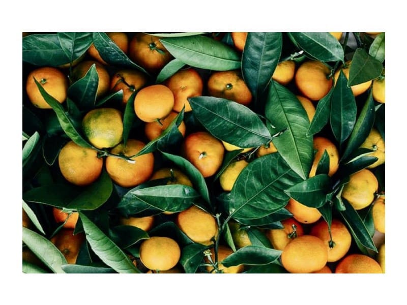 8 sypialnia Willa na sprzedaż w El Rosario - 649 000 € (Ref: 9112627)