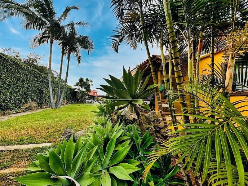 5 sypialnia Willa na sprzedaż w La Orotava - 995 000 € (Ref: 9269772)