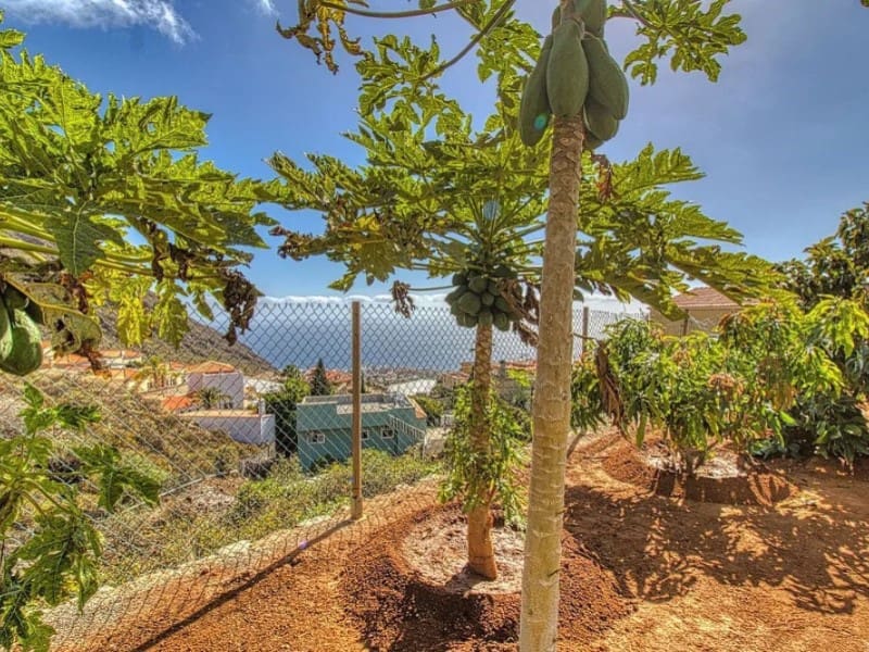 5 soverom Villa til salgs i Araya - € 840 000 (Ref: 9282443)