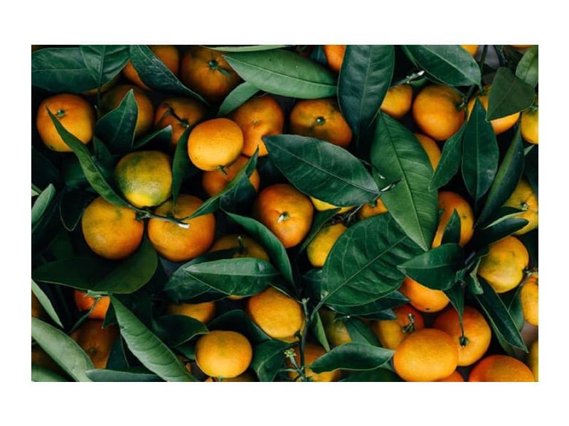 8 slaapkamer Hotel te koop in El Rosario - € 649.000 (Ref: 9393395)