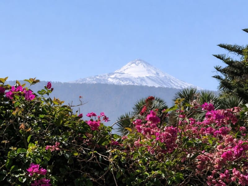 2 Zimmer Villa zu verkaufen in La Orotava - 489.000 € (Ref: 9476124)