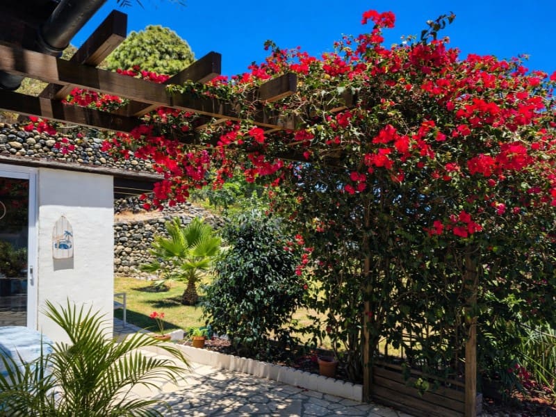 3 Zimmer Finca/Landgut zu verkaufen in Icod de los Vinos - 760.000 € (Ref: 9639345)