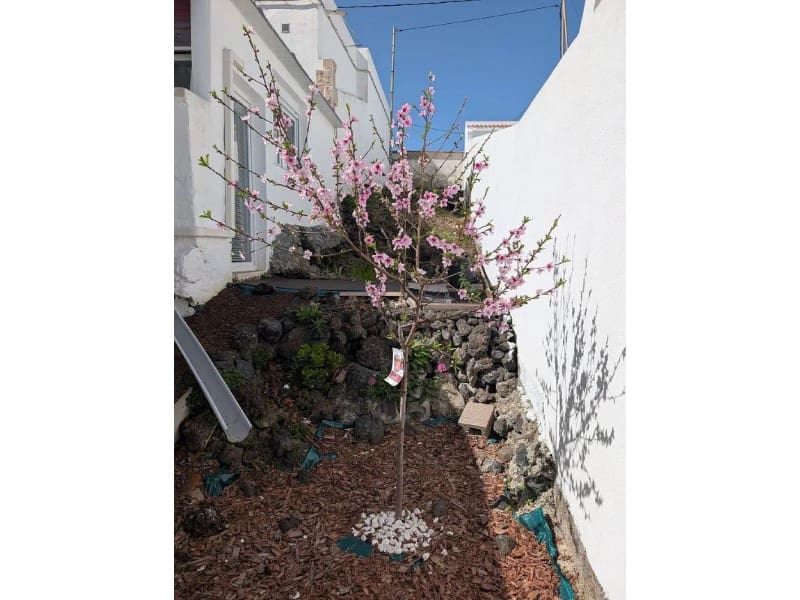 4 sovrum Villa till salu i El Tanque - 349 000 € (Ref: 9644641)