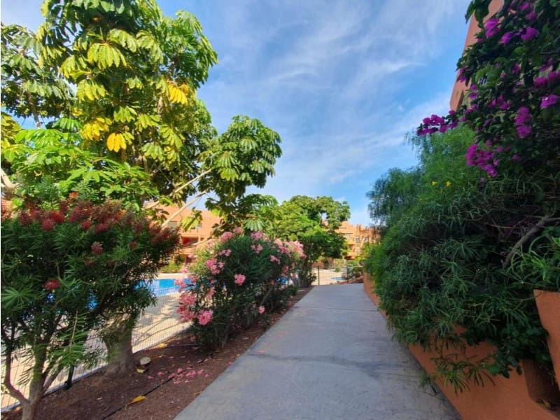 1 bedroom Penthouse for sale in Los Abrigos - € 299,000 (Ref: 9666328)