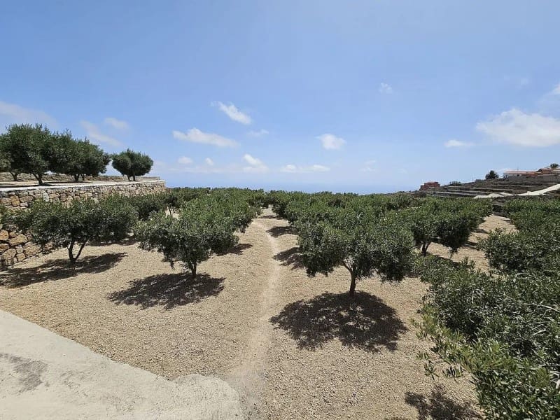 3 slaapkamer Finca/Landhuis te koop in Charco del Pino - € 289.000 (Ref: 9666330)