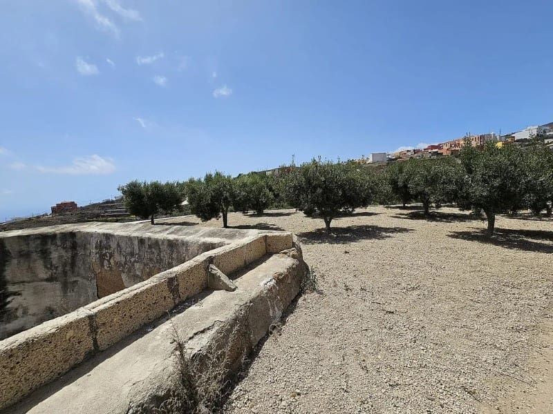 3 slaapkamer Finca/Landhuis te koop in Charco del Pino - € 289.000 (Ref: 9666330)