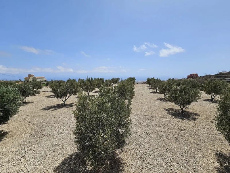 3 slaapkamer Finca/Landhuis te koop in Charco del Pino - € 289.000 (Ref: 9666330)