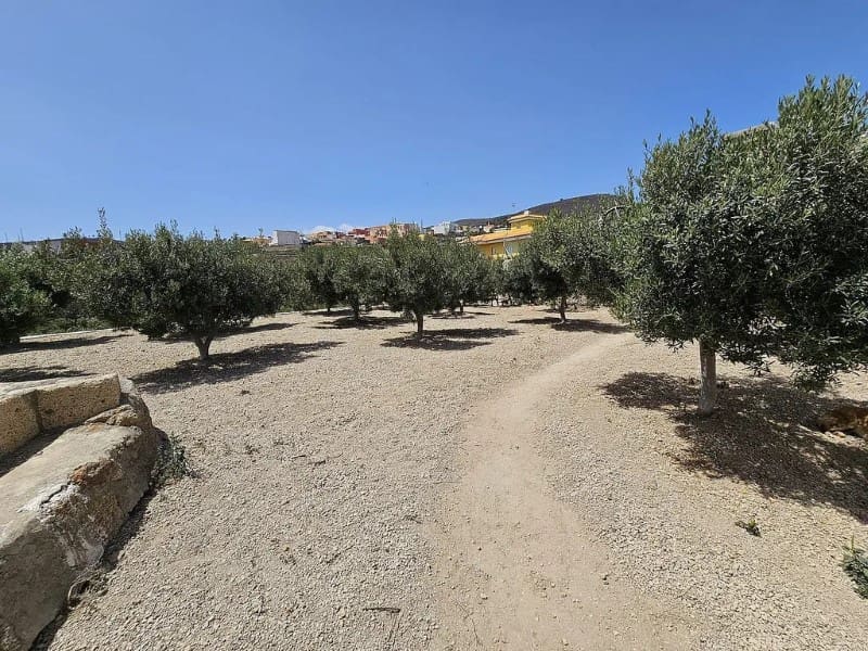 3 slaapkamer Finca/Landhuis te koop in Charco del Pino - € 289.000 (Ref: 9666330)