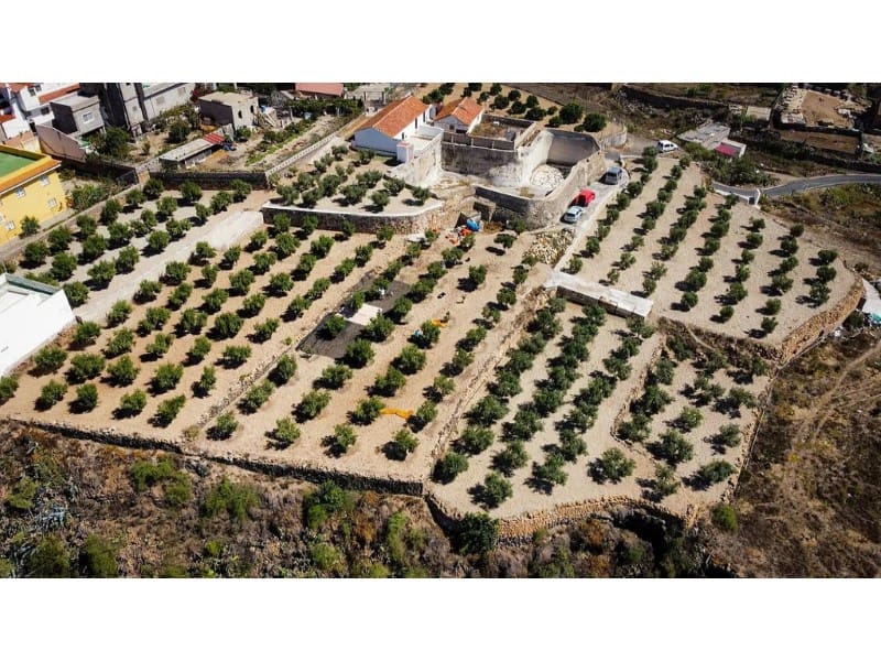 3 slaapkamer Finca/Landhuis te koop in Charco del Pino - € 289.000 (Ref: 9666330)