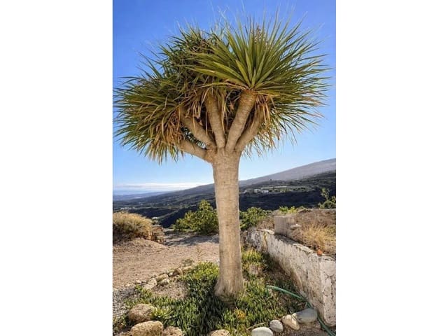 2 sovrum Finca/Hus på landet till salu i Fasnia - 299 000 € (Ref: 9666331)