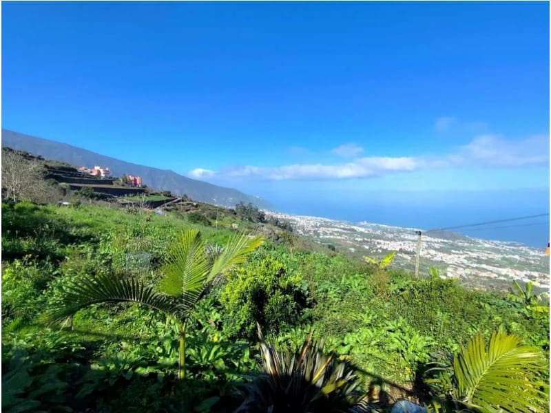 1 slaapkamer Finca/Landhuis te koop in La Orotava - € 229.000 (Ref: 9666333)