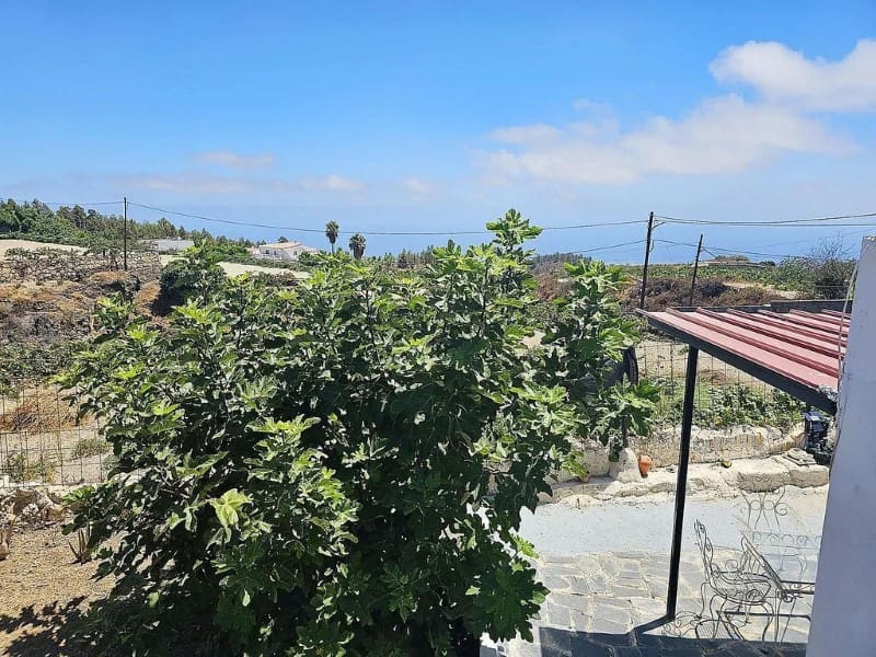 1 slaapkamer Finca/Landhuis te koop in Cruz de Tea - € 239.000 (Ref: 9666334)