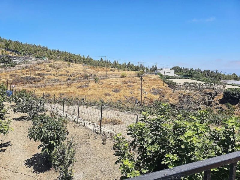 1 slaapkamer Finca/Landhuis te koop in Cruz de Tea - € 239.000 (Ref: 9666334)