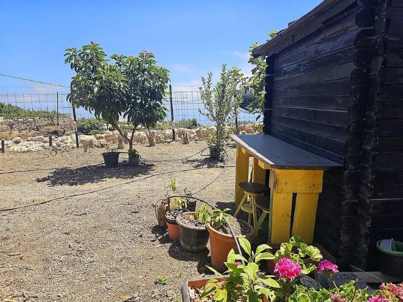 1 slaapkamer Finca/Landhuis te koop in Cruz de Tea - € 239.000 (Ref: 9666334)