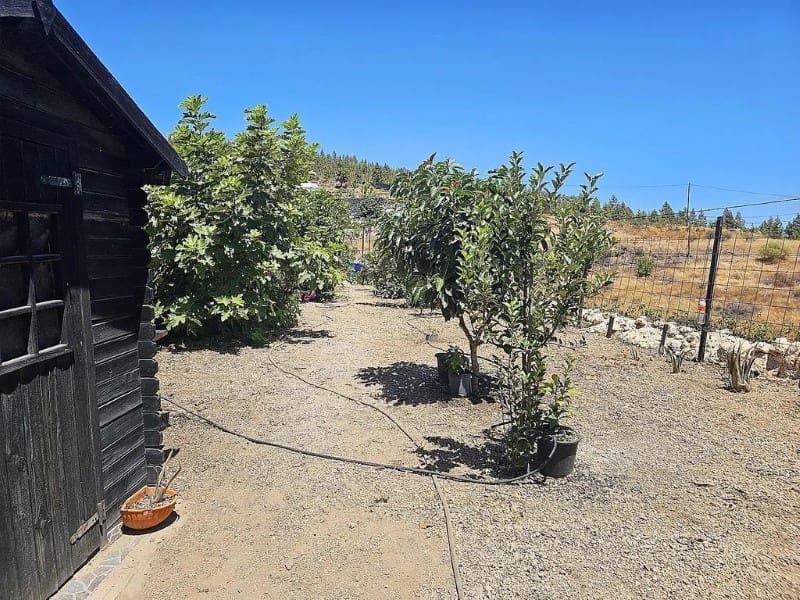 1 slaapkamer Finca/Landhuis te koop in Cruz de Tea - € 239.000 (Ref: 9666334)