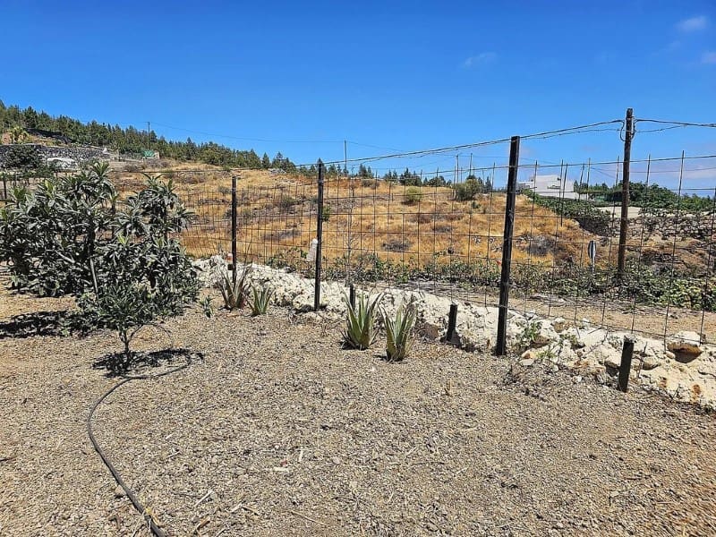 1 slaapkamer Finca/Landhuis te koop in Cruz de Tea - € 239.000 (Ref: 9666334)