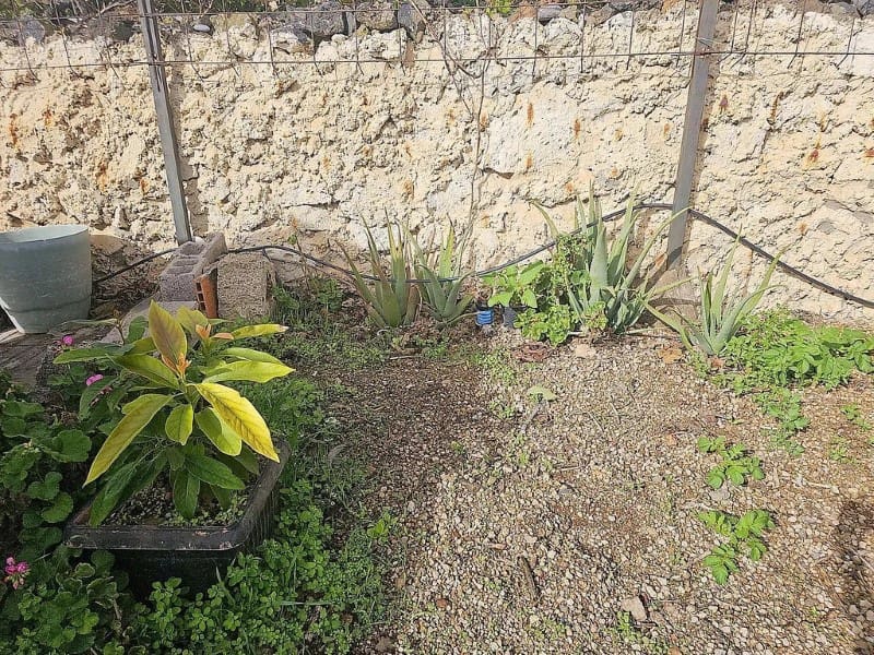 1 slaapkamer Finca/Landhuis te koop in Cruz de Tea - € 239.000 (Ref: 9666334)