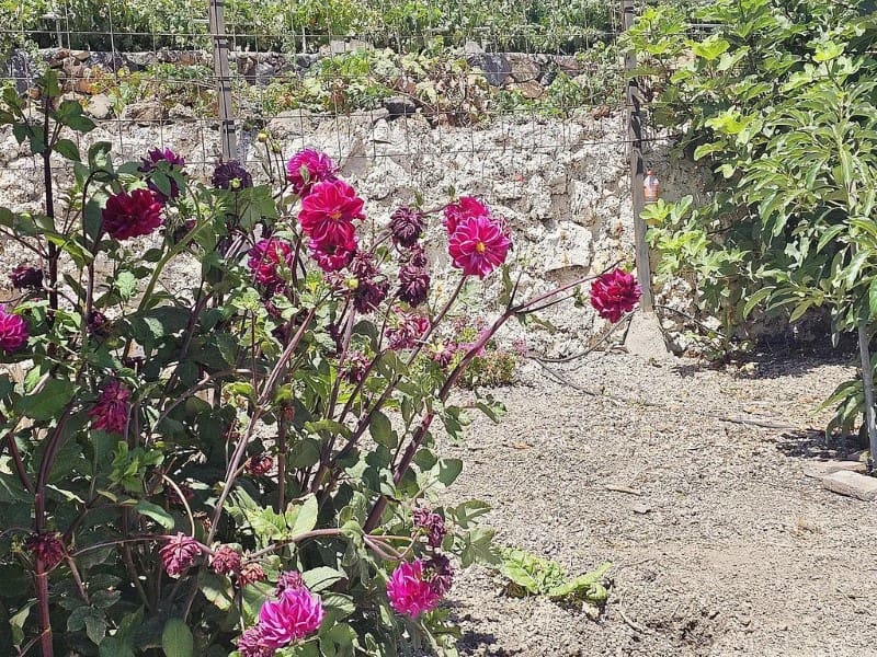 1 slaapkamer Finca/Landhuis te koop in Cruz de Tea - € 239.000 (Ref: 9666334)