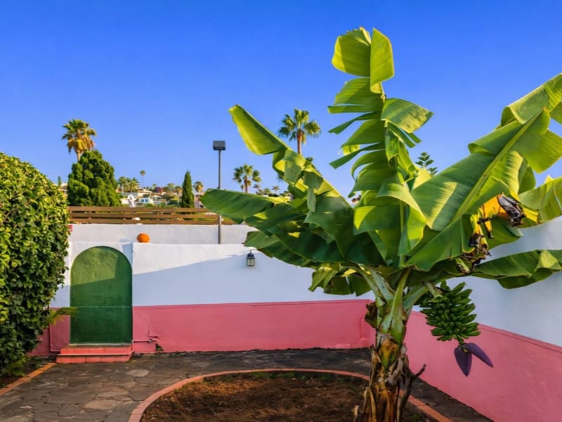 2 chambre Villa/Maison à vendre à El Sauzal - 450 000 € (Ref: 9690473)