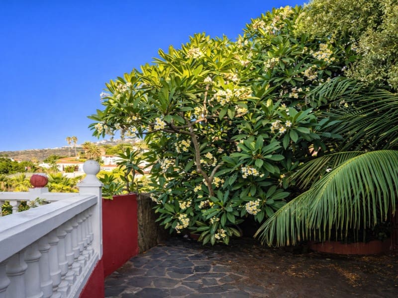 2 chambre Villa/Maison à vendre à El Sauzal - 450 000 € (Ref: 9690473)