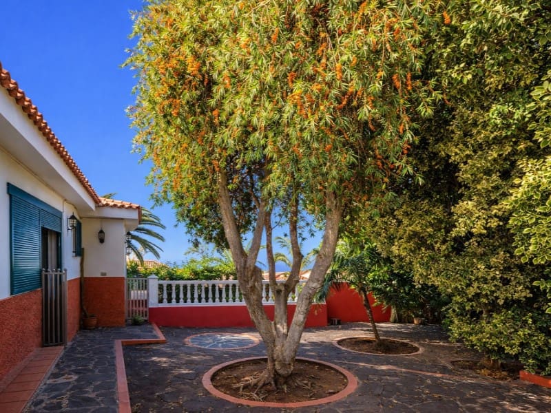 2 chambre Villa/Maison à vendre à El Sauzal - 450 000 € (Ref: 9690473)