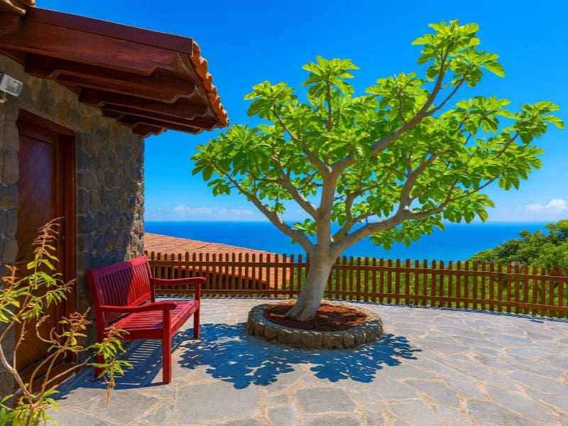 3 bedroom Finca/Country House for sale in Araya - € 399,000 (Ref: 9826601)