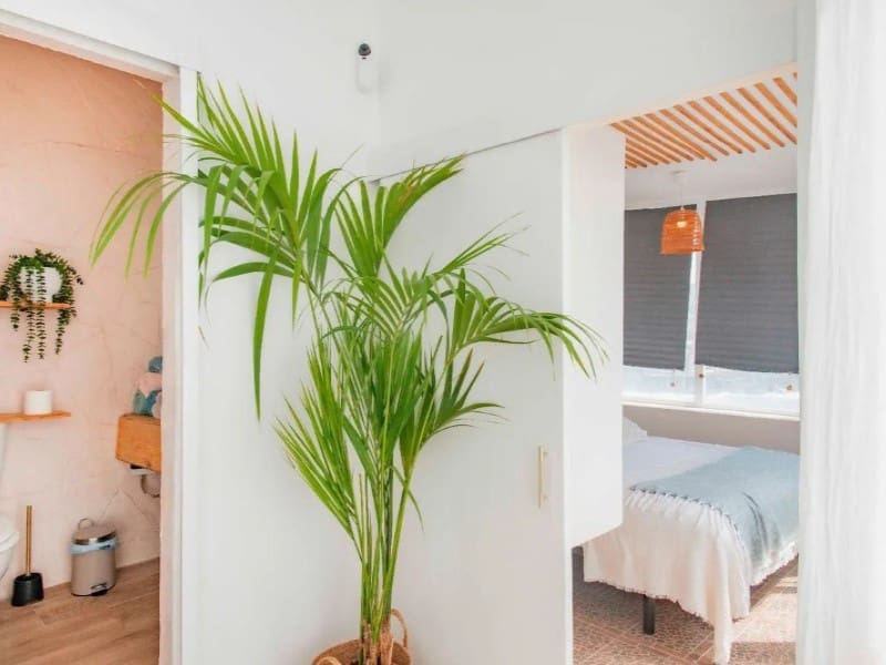 3 bedroom Villa for sale in Guimar - € 550,000 (Ref: 9899382)