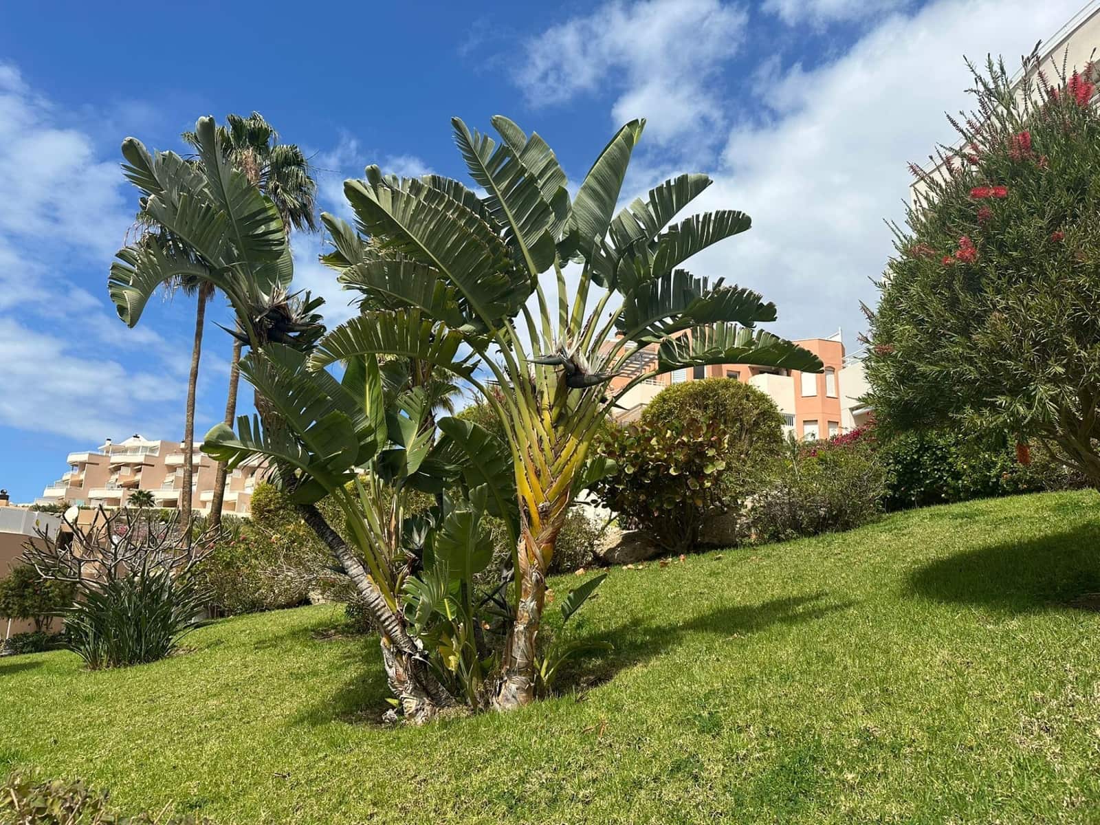 3 soveværelse Lejlighed til salg i Costa Adeje med swimmingpool garage - € 790.000 (Ref: 9026301)