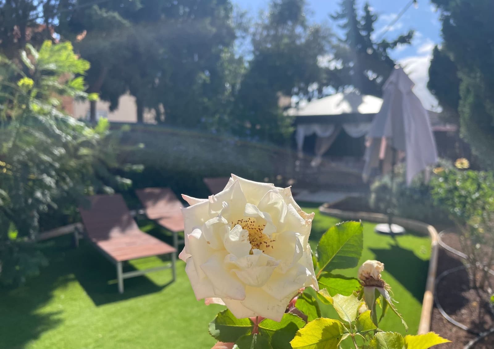 5 slaapkamer Villa te koop in Granadilla de Abona met zwembad garage - € 880.000 (Ref: 9026302)