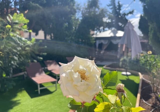 5 soveværelse Villa til salg i Charco del Pino, Granadilla de Abona med swimmingpool garage - € 880.000 (Ref: 9026302)