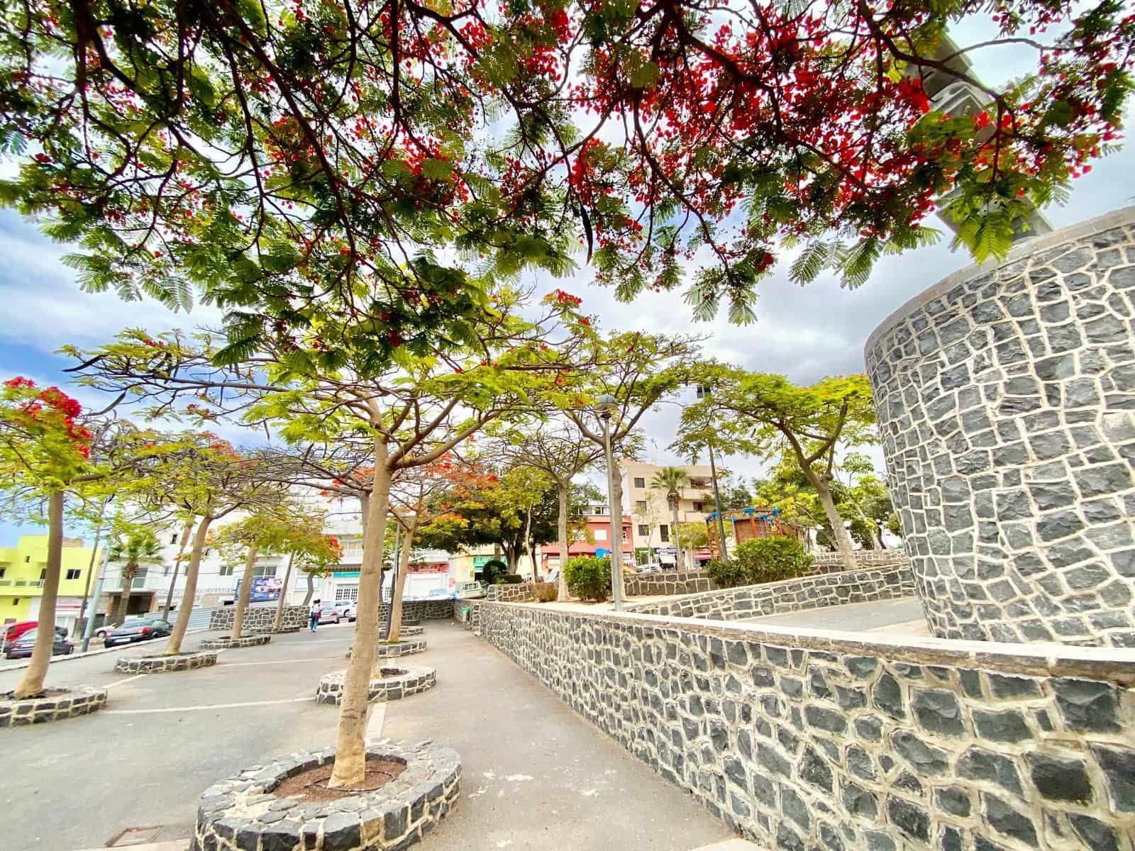 2 quarto Apartamento para arrendar em Adeje com garagem - 1 700 € (Ref: 9461051)