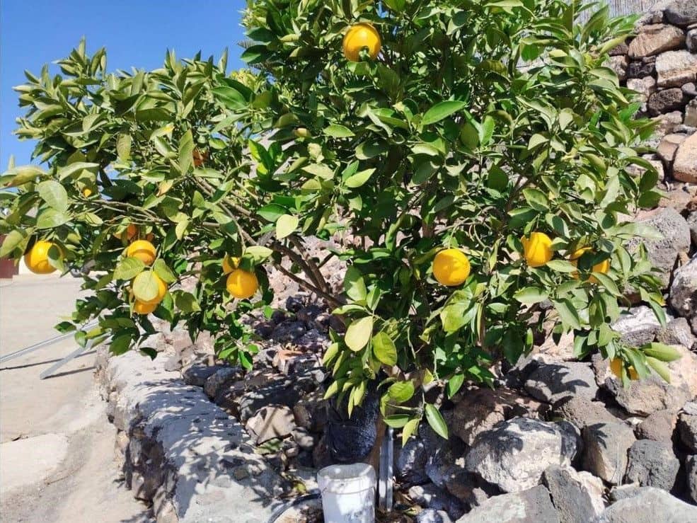 3 sovrum Villa till salu i San Miguel de Abona - 800 000 € (Ref: 9800340)